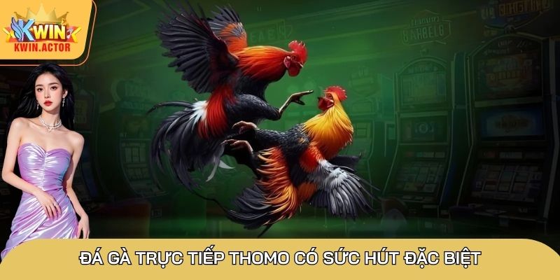 Đá gà trực tiếp Thomo siêu hấp dẫn, chinh phục thành viên 2 Có đa dạng loại chiến kê quy tụ tại trường gà Thomo