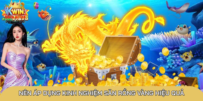 Nên áp dụng kinh nghiệm săn Rồng Vàng hiệu quả